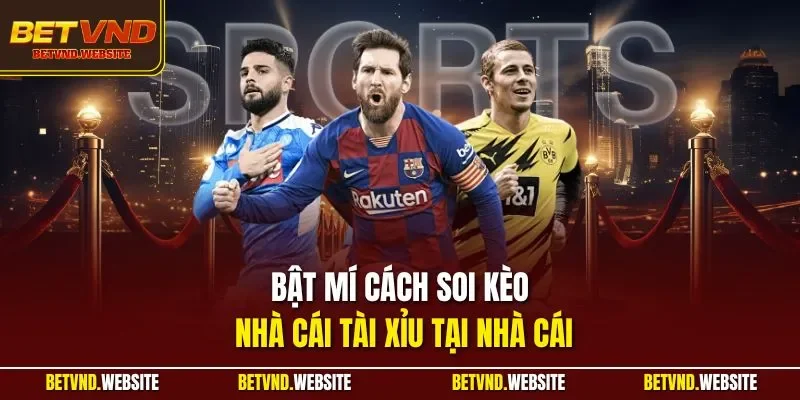 Bật mí cách soi kèo nhà cái tài xỉu tại nhà cái