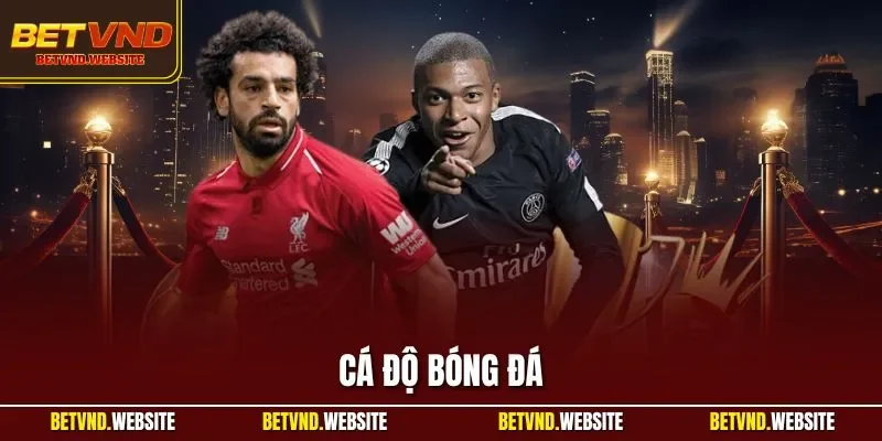 Cá độ bóng đá