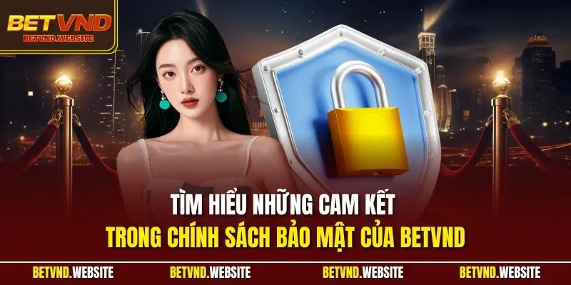Tìm hiểu những cam kết trong chính sách bảo mật của BETVND