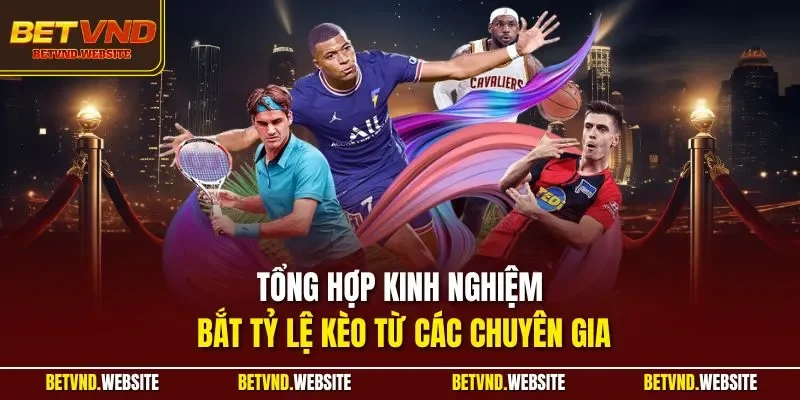 Tổng hợp kinh nghiệm bắt tỷ lệ kèo từ các chuyên gia
